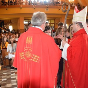 dsc copy