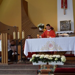 dsc copy