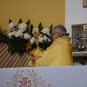 dsc copy