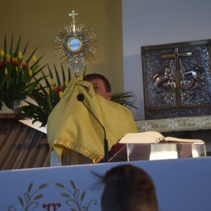 dsc copy
